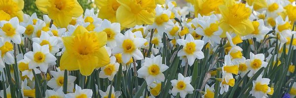 hsynmnk Profile Banner