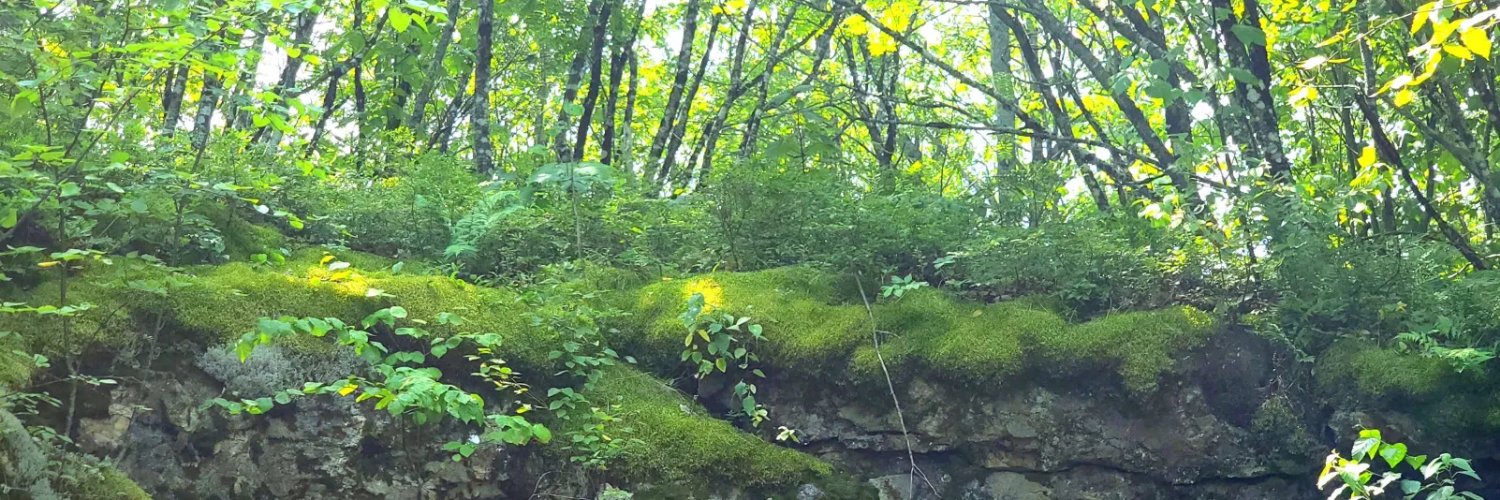 TheHeebieJeebler banner