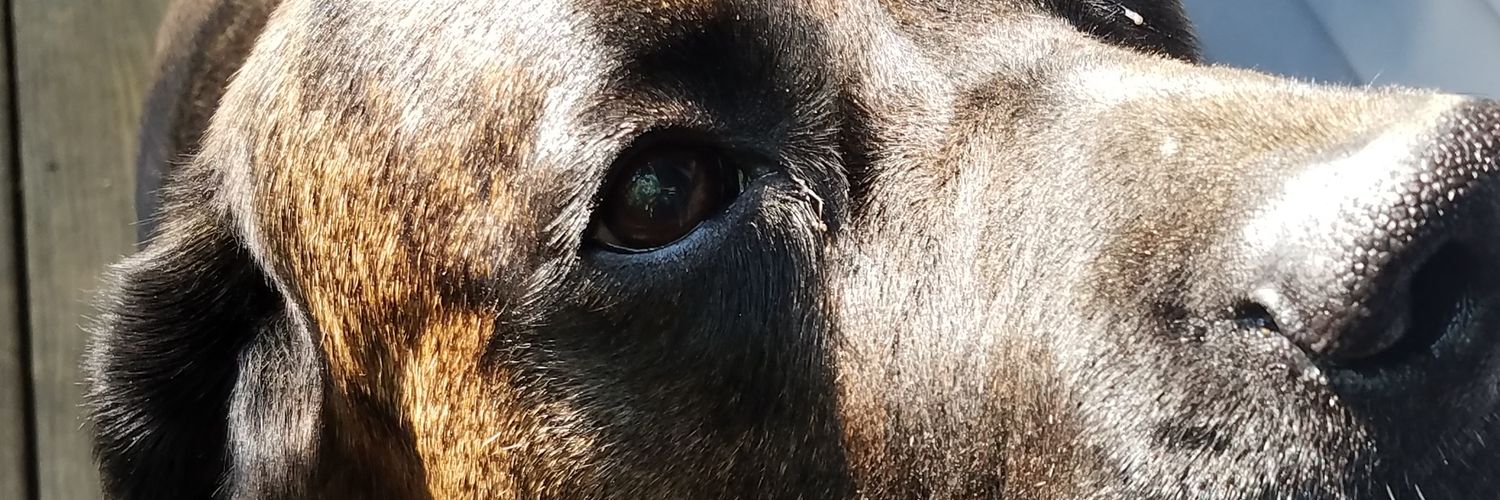 KeyHolle's profile banner image