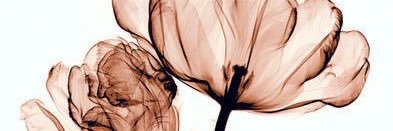 gnesis70's profile banner image