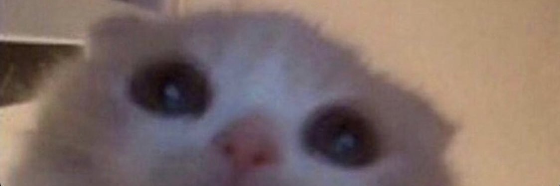 BirbKun's profile banner image