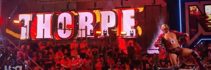Sean Thorpe banner