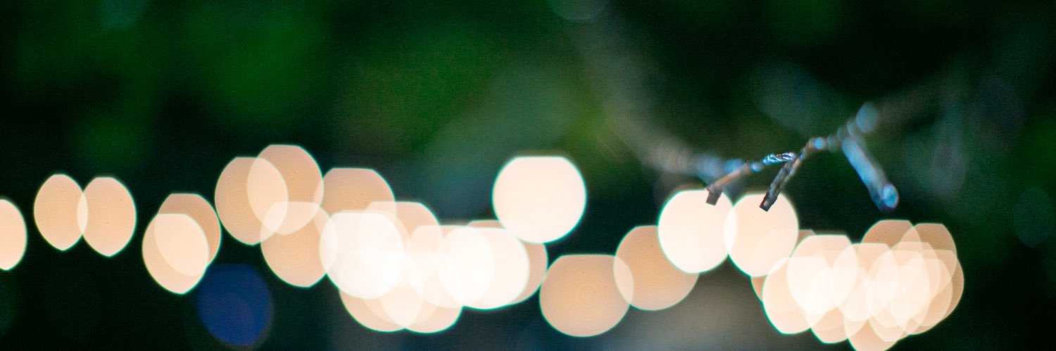 AlessandraKate's profile banner image