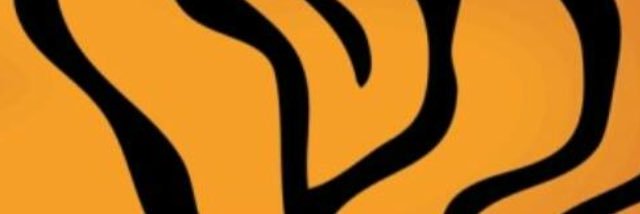 Loyd90Tiger's profile banner image