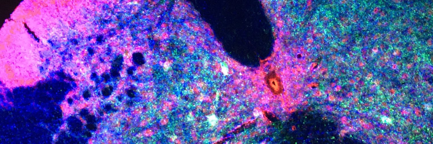 Cristina Lao-Peregrin banner