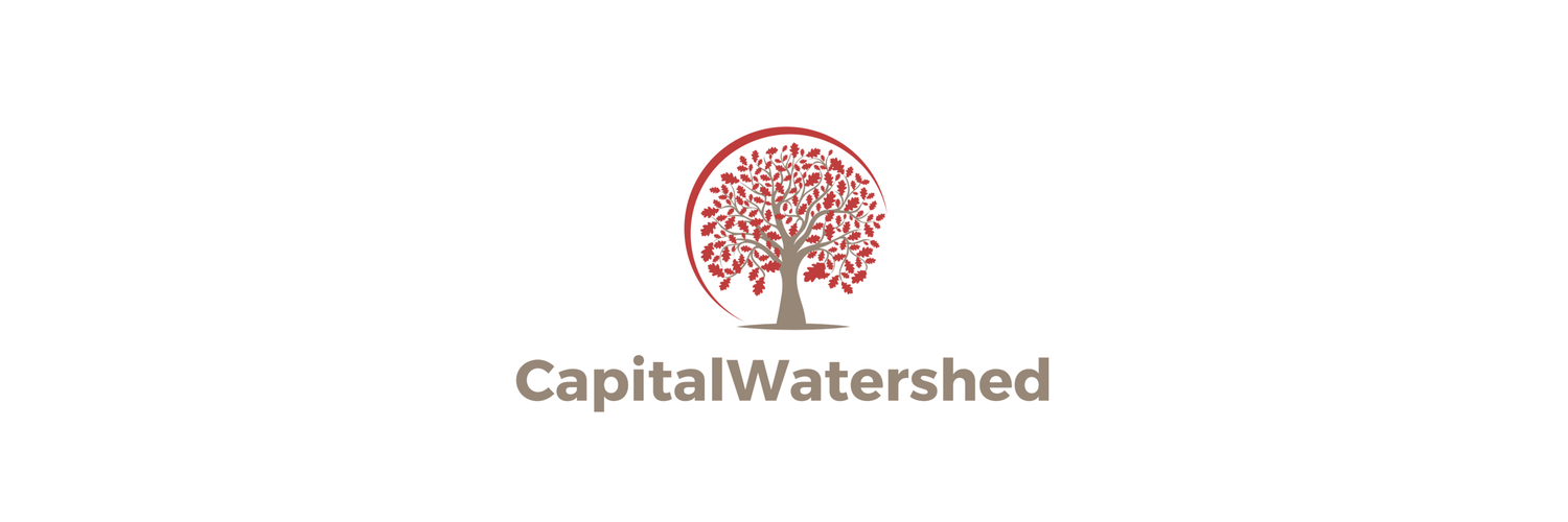 capitalwatersh1's profile banner image