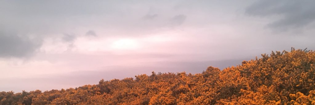 SASHAVELOUUR's profile banner image