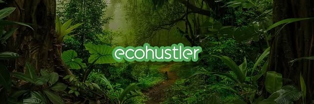 Ecohustler banner