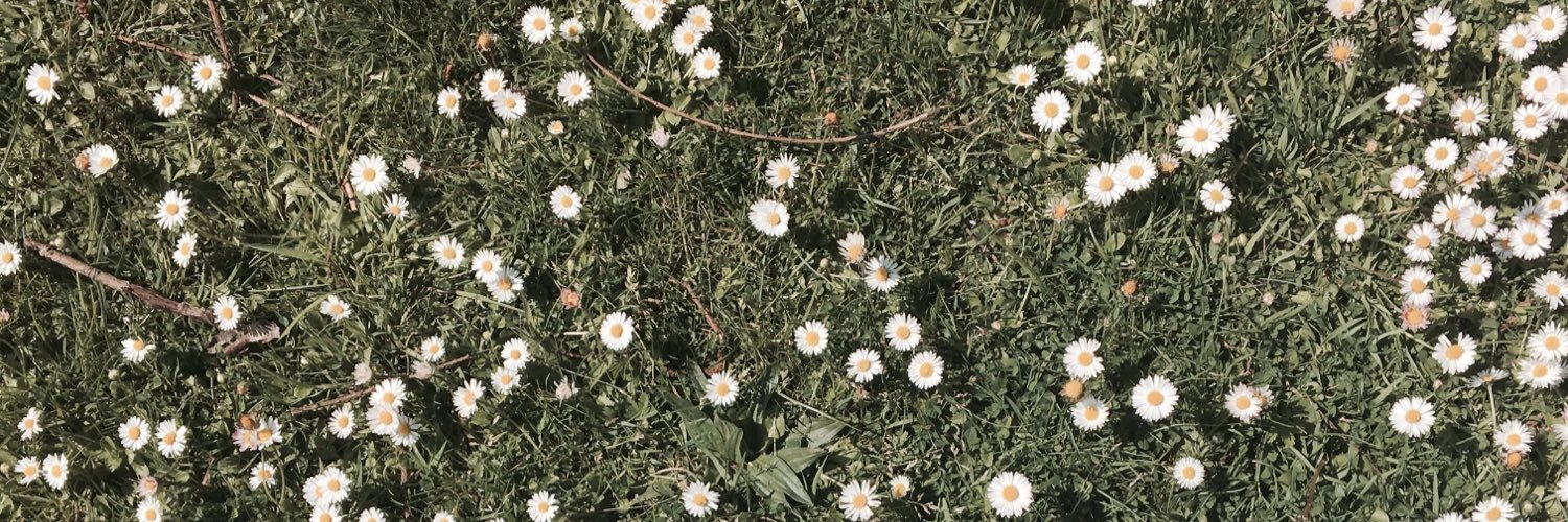 101Jemma's profile banner image