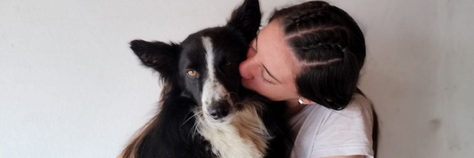 arascatularo's profile banner image