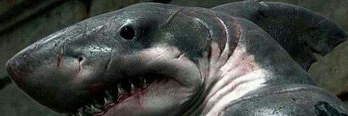 Talk_Truth_Dare banner
