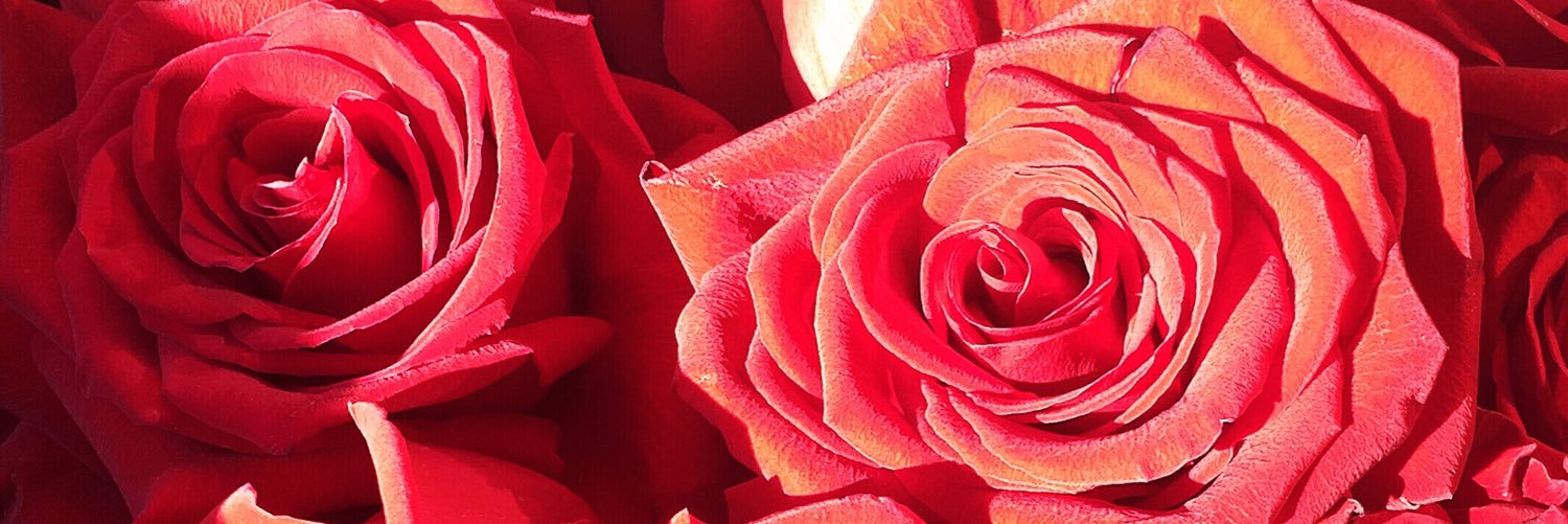 Itsfromcorie's profile banner image