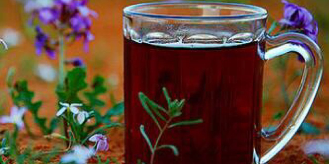 محمد باتل بن شوق banner