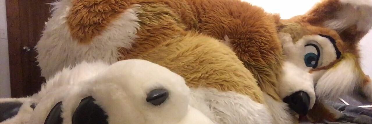 Egohusky's profile banner image