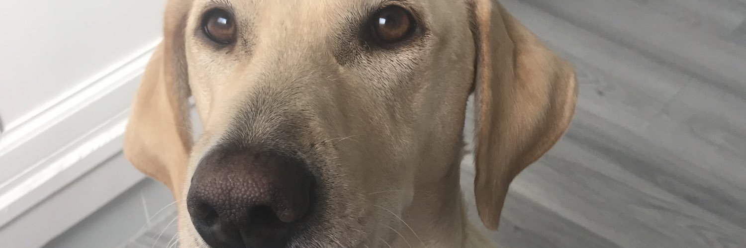 mariaa_1997_'s profile banner image