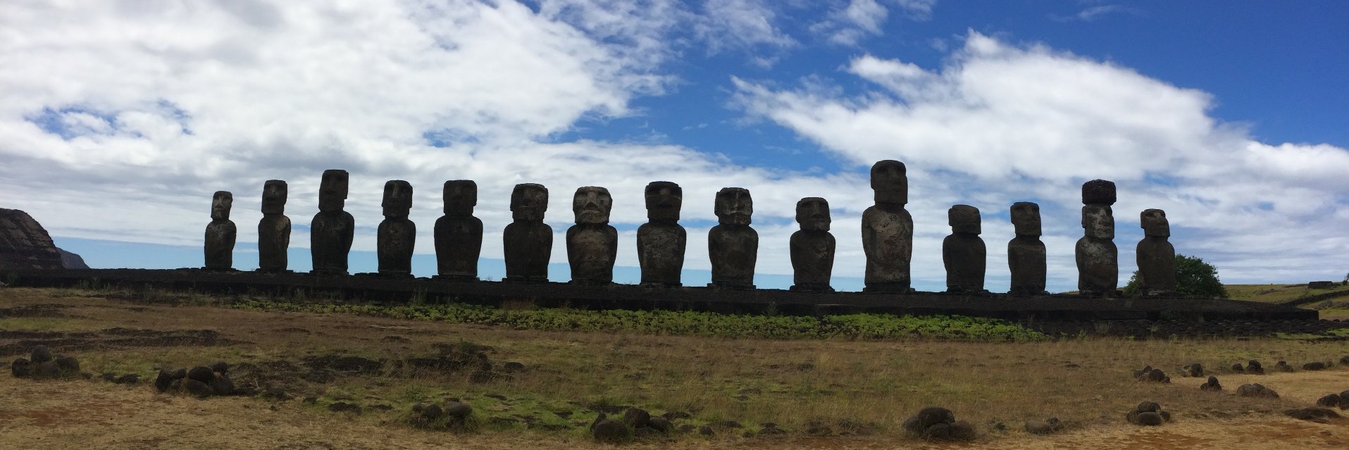 Monica Gerrek banner