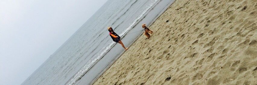 sayumiso2's profile banner image