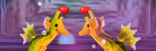 𑁍𑁍𑁍 banner