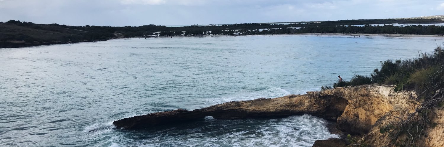 sinemguler0's profile banner image