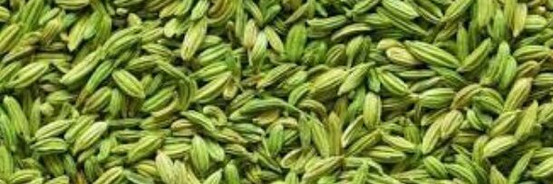 chanakya758's profile banner image