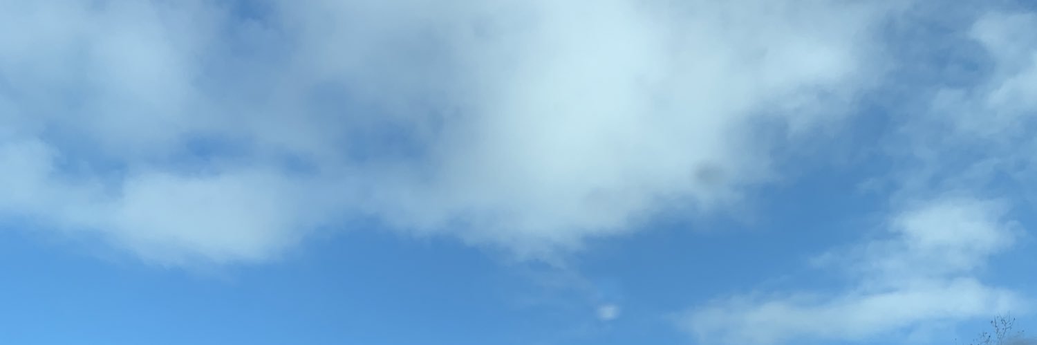 eireannyes's profile banner image