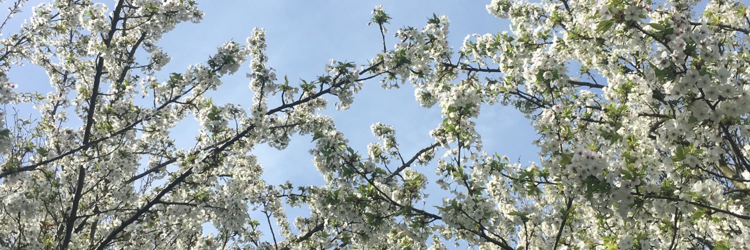 franspree's profile banner image
