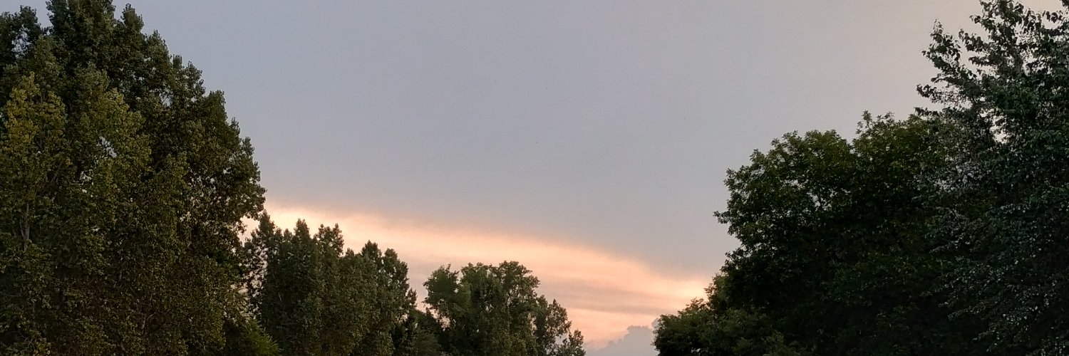 Ariponce22's profile banner image