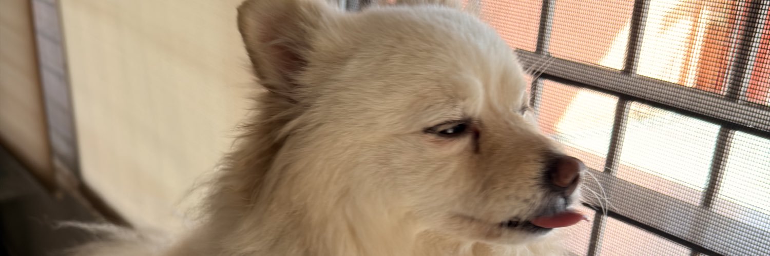 CarlosCanche_'s profile banner image