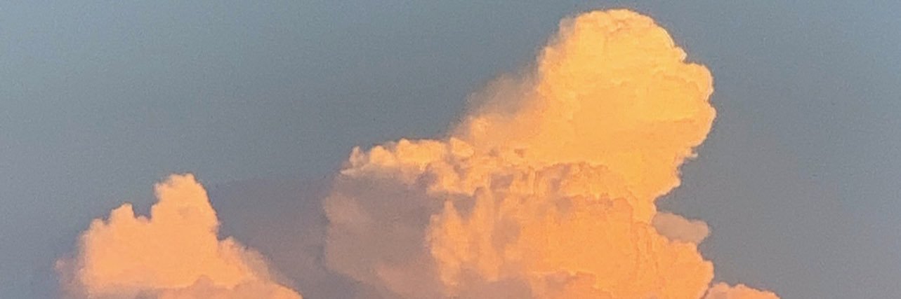 alyssacaputa's profile banner image