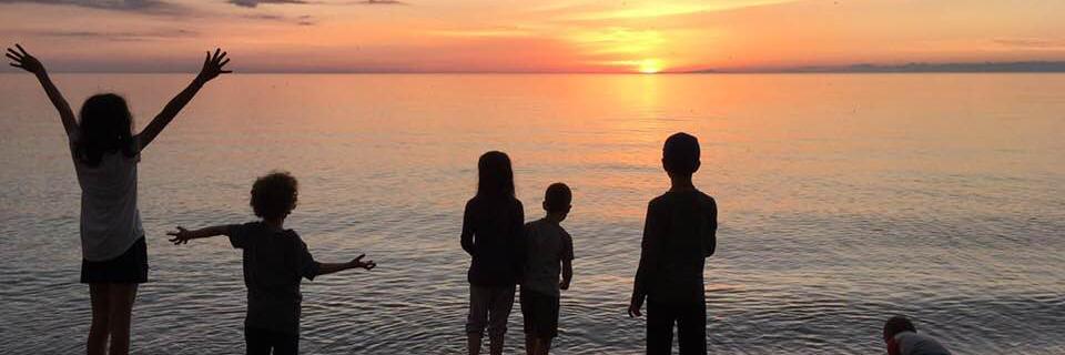 Michael Petrou banner