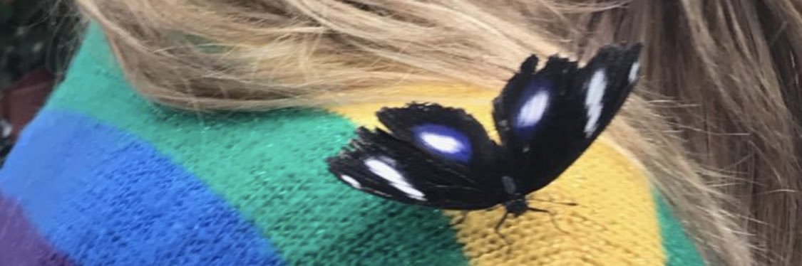 GujetezA's profile banner image