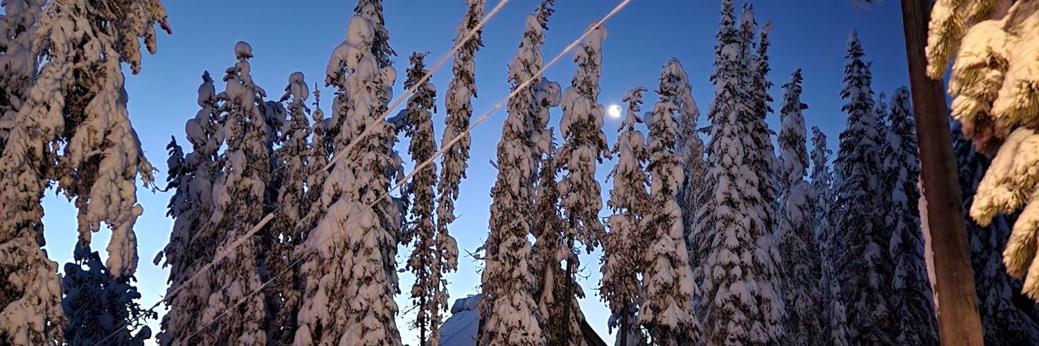 Janine Fraser banner