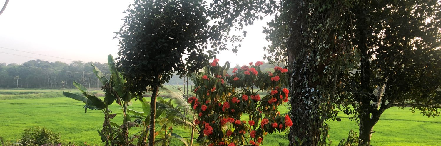MohanGeorgeP's profile banner image