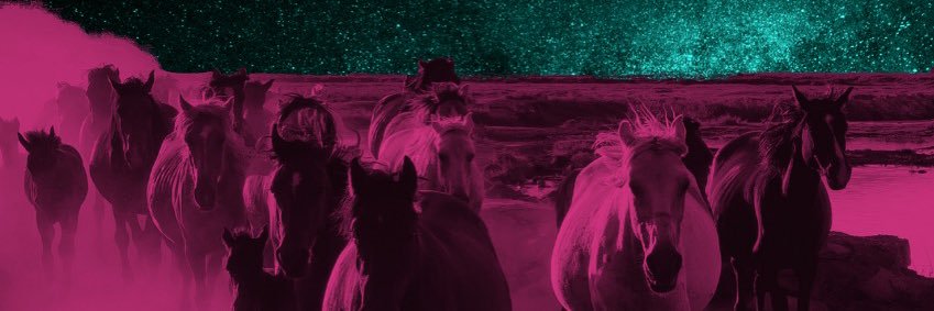 annajanestil's profile banner image