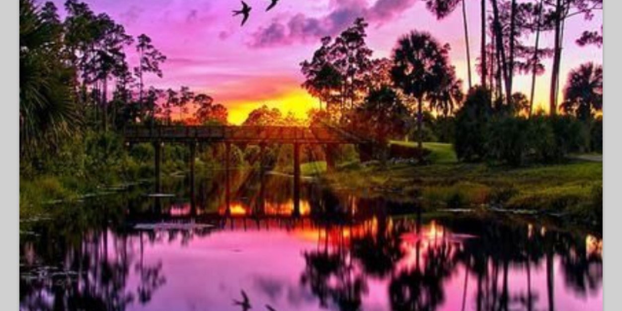 StaceySue87's profile banner image