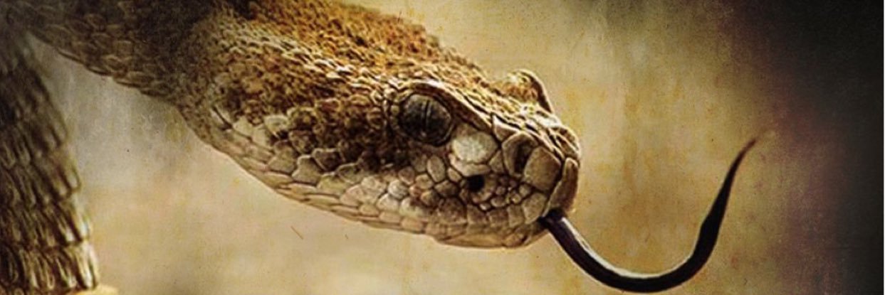 wesleyjwalker87's profile banner image