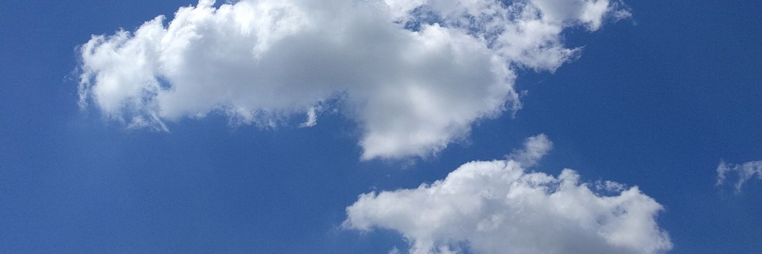 Roberta Ghezzi banner