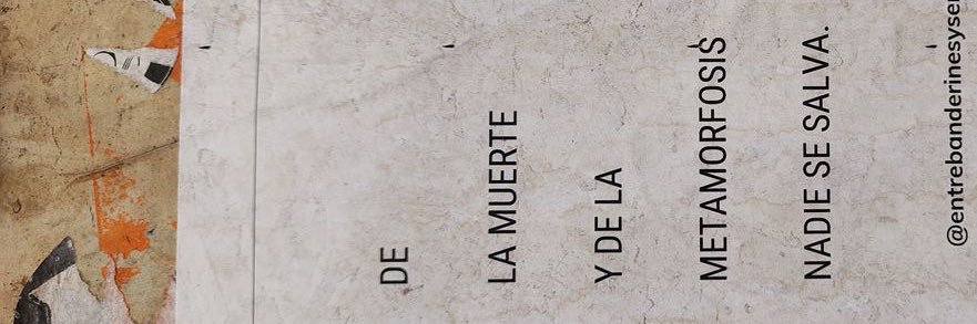 eli_quesada10's profile banner image