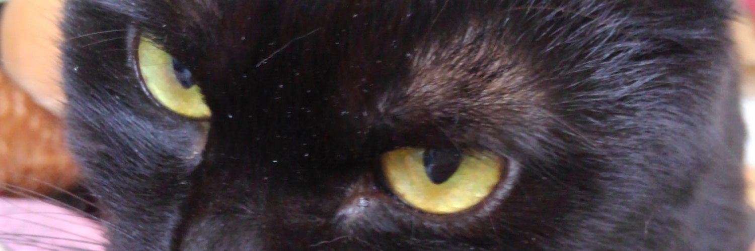 rin_arsmate's profile banner image