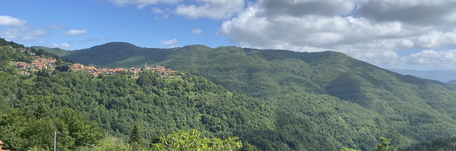 MatteoPelli1's profile banner image