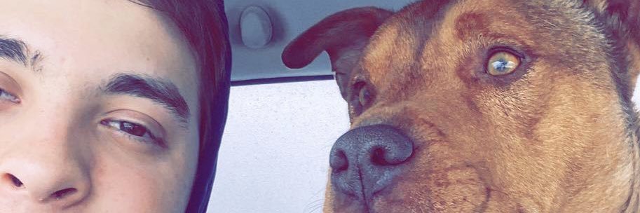 brandonc_016's profile banner image