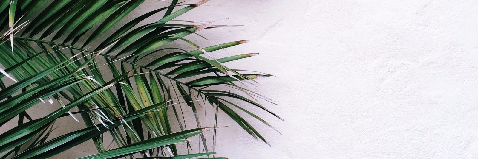 MartaNorgaard's profile banner image