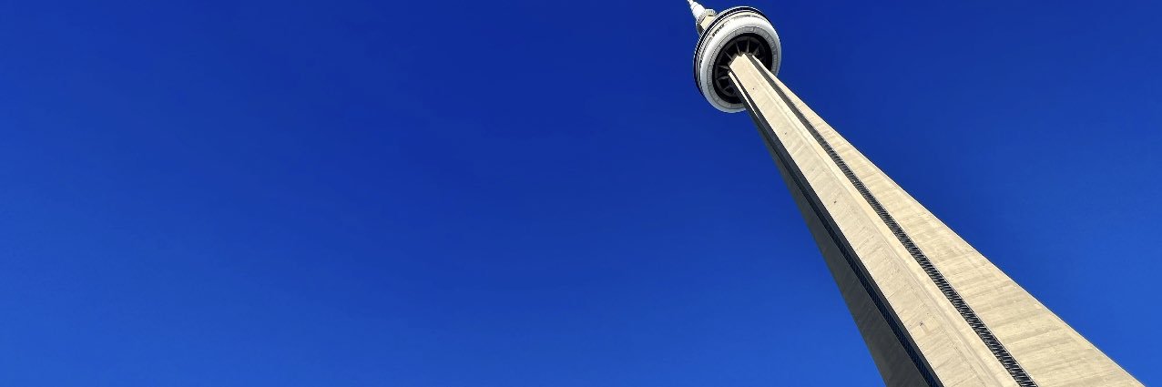 Rita banner