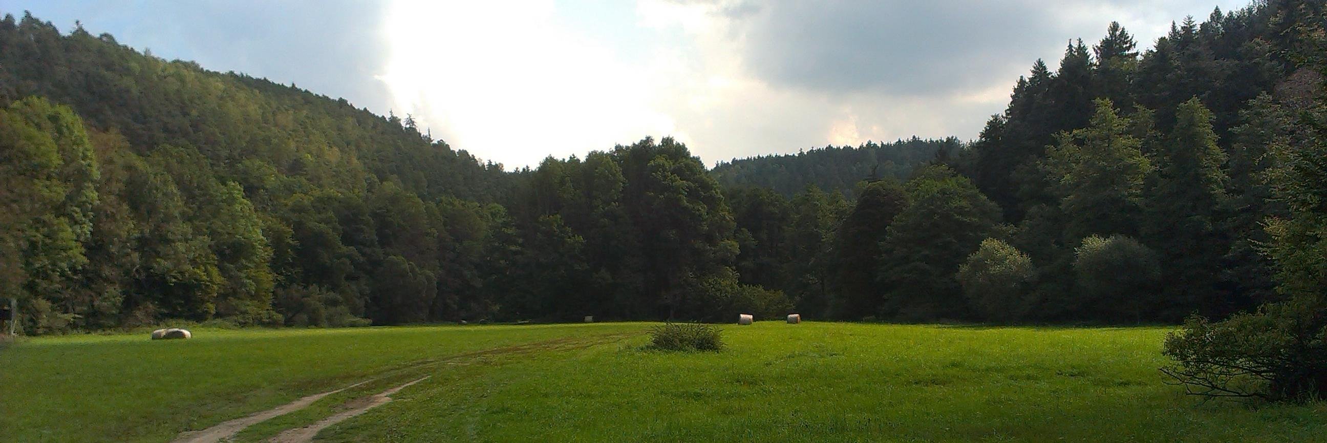 Betka_S's profile banner image