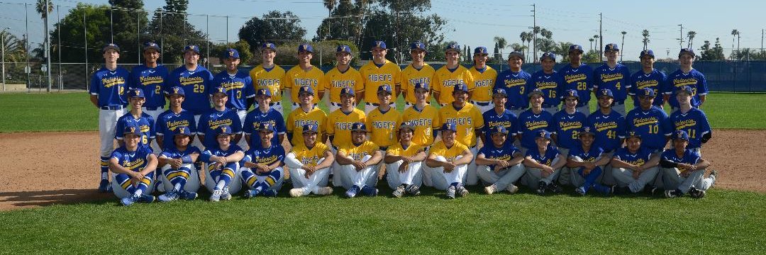 VHS Tigers Baseball banner