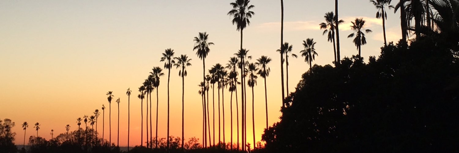 MiguelBearden's profile banner image