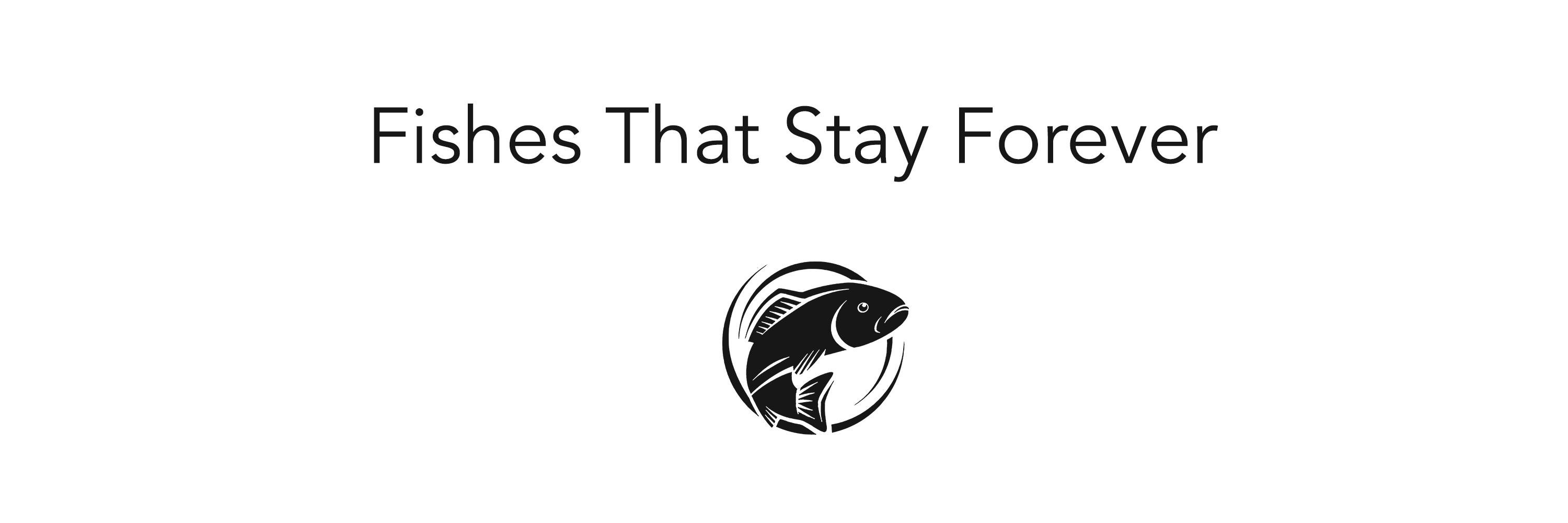 ForeverFishes's profile banner image