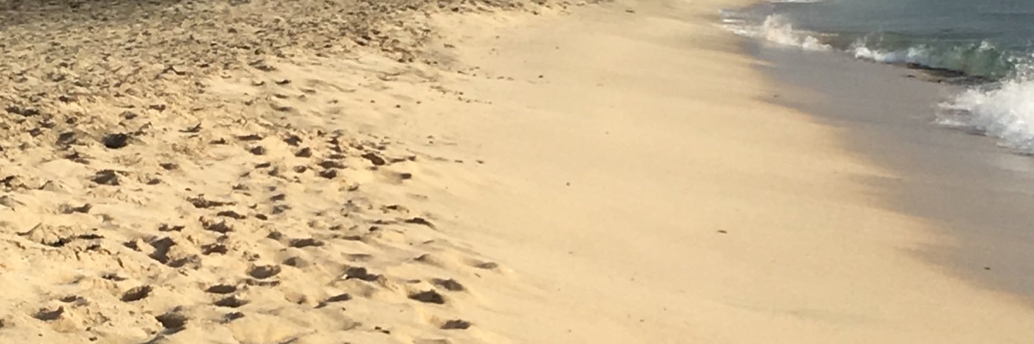 EPuxted's profile banner image