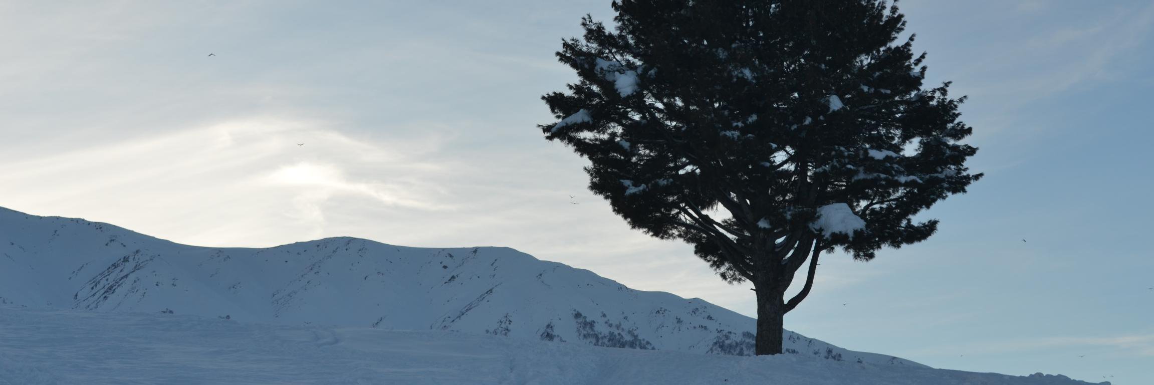 SajadEhmad's profile banner image