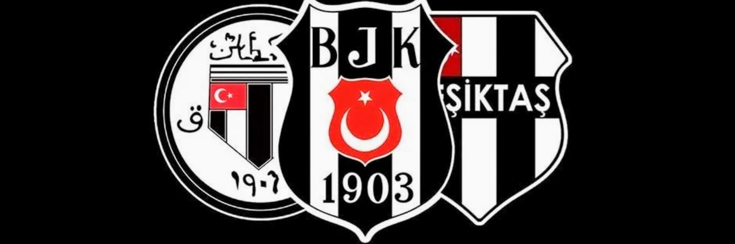 birkumsaati's profile banner image